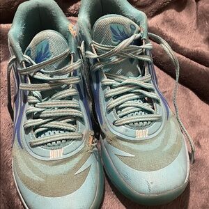 Lamelos 1 of 1 pumas